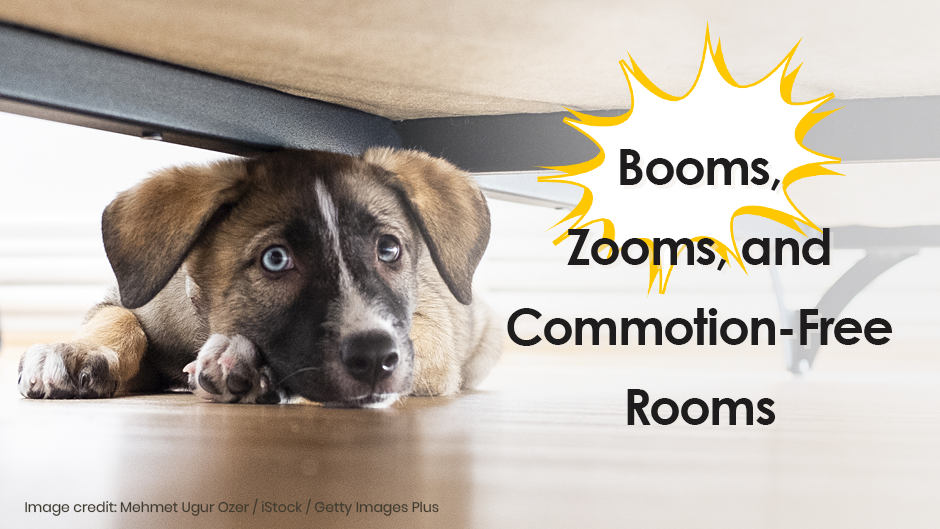 Booms, Zooms and Commotion-Free Rooms